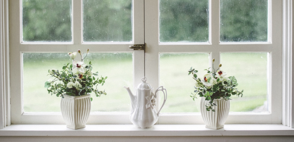 plantas de interior en ventanas