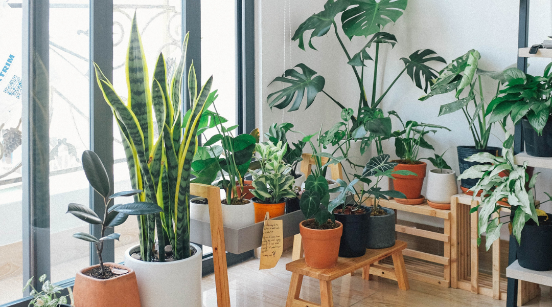 12 plantas artificiales para decorar la casa muy realistas